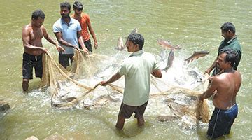 Fisheries Department - Tamil Nadu