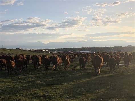 RanchWorkUSA.com - Ranch Work & Job Opportunities