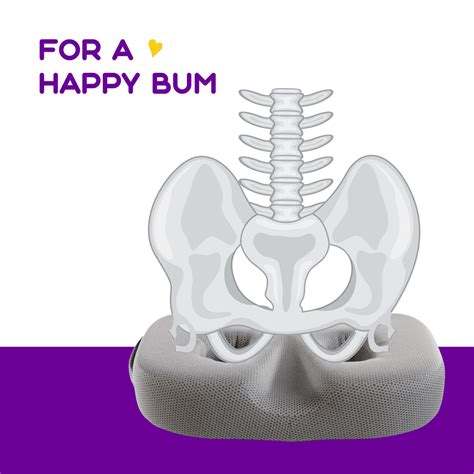 Buy Seat Cushions I Chair Cushions Online : Frido - MyFrido