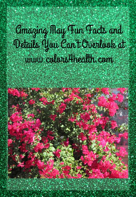 Colors 4 Health: Amazing May Fun Facts and Details You Can't Overlook