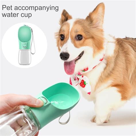 Dog water dispenser – Artofit