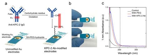 Polyethylene Glycol-Mediated Directional Conjugation of Biological ...