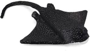 ScienceLAB Flash The Sting Ray - Plush Stuffed Animal Price in India ...