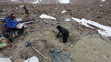 Image result for Ice Core Collection Video