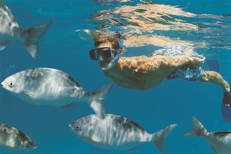 Snorkeling At Destin Jetties at Joseph Becher blog