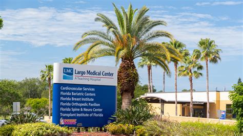 Palm Garden Of Pinellas Largo Fl | Fasci Garden