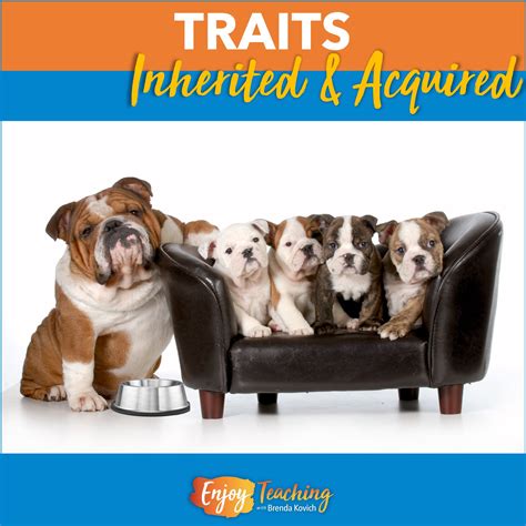 How to Teach Inherited Traits and Acquired Traits - Enjoy Teaching with ...