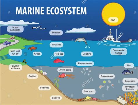 Ecosystem & Components of Ecosystem. - तरुमहिमन्