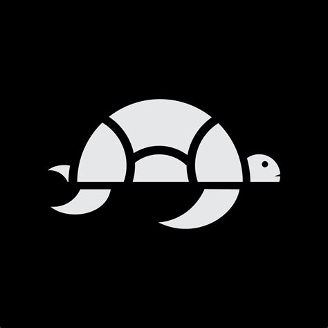 Image result for Logo Turtle Program