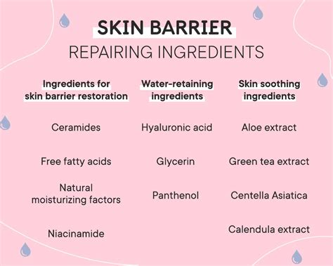 Damaged skin barrier? Here’s how… – Quench Botanics