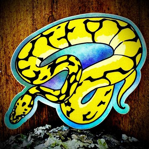 Image result for Python Snake Logo Sticker