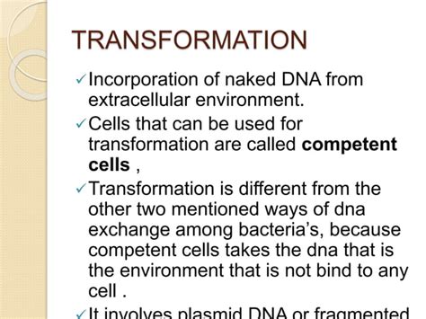 DNA Transformation Class 12 的图像结果