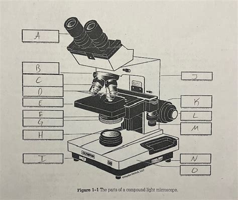 A Light Microscope 的图像结果