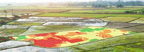 Image result for Precision Farming