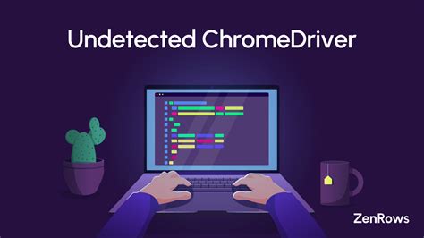 Image result for How to Use Chrome Driver Python