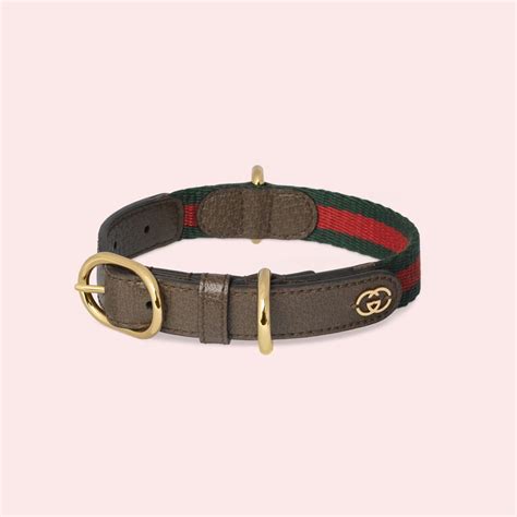 35+ Chic Designer Dog Collars To Shop For Your Pup