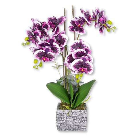 Fake Orchid Plant, Velvet Touch, With Brick Wall Like Planter, Indoor ...