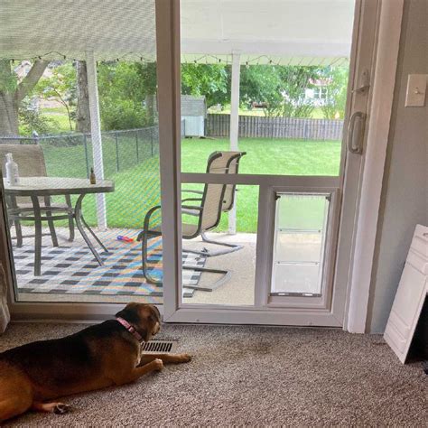 Dog Door for Sliding Glass Doors| Sliding Glass Pet Doors