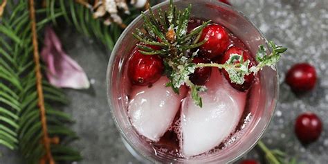 Caroling and Cocktails, Mount Sequoyah Center, Fayetteville, December 7 ...