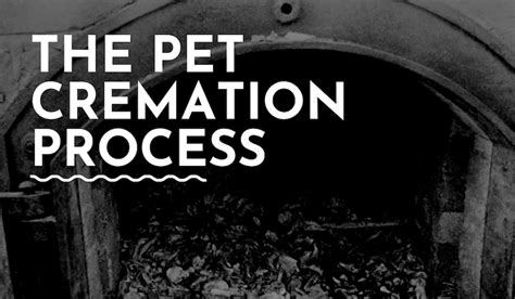 Image result for How Does the Cremation Process Work Step by Step