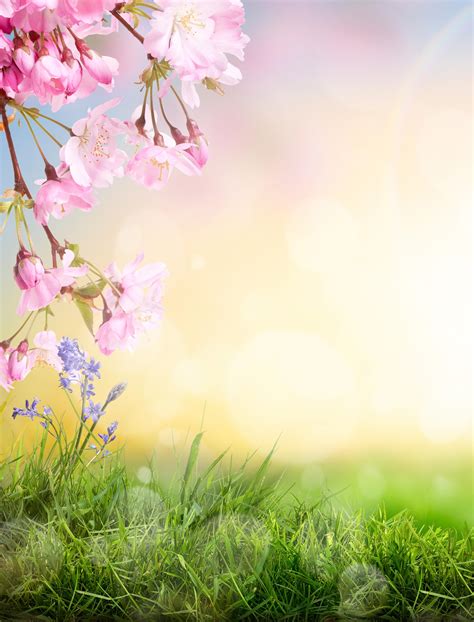 Surprise / Sun City West - March 2024 by The Grand Season - Issuu