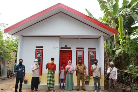 Image result for Python Sub Indo