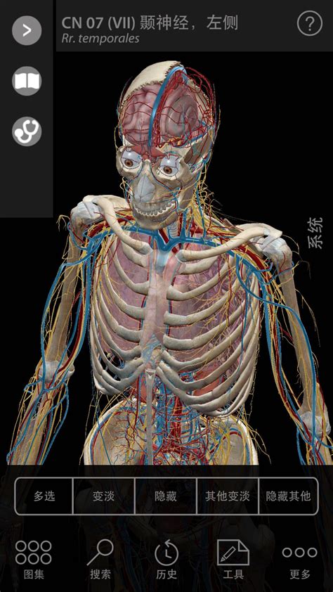 2019人体解剖学图谱修改版-Atlas(2020版人体解剖学图谱app)0.3 安卓版-东坡下载