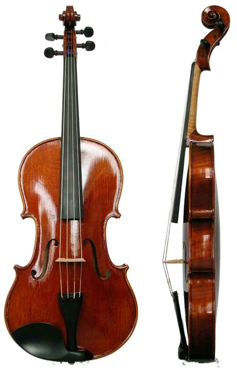 Image result for Viola String Instrument