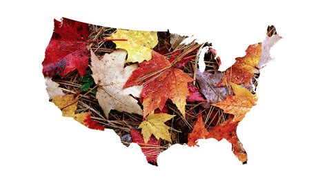 Fall colors in 2023 may be less vibrant due to scorching heat: Maps