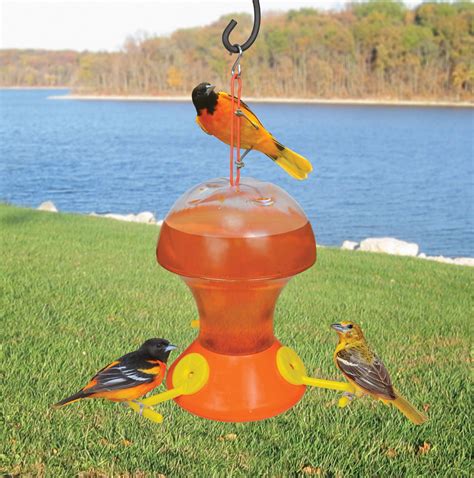 Oriole Nectar Bird Feeder 52 oz | Bird feeders, Orioles, Feeder