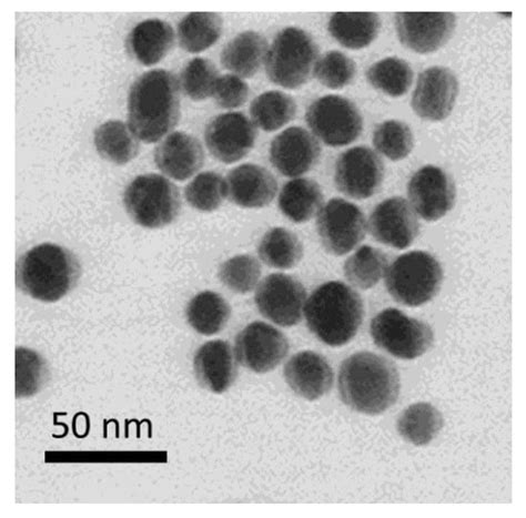Highly Sensitive Lateral Flow Immunodetection of the Insecticide ...