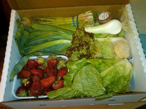 Produce Box 的图像结果