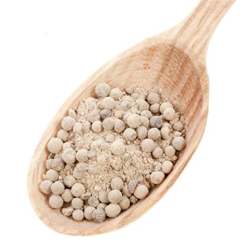 Peppercorns - White (Whole) | Red Stick Spice Company