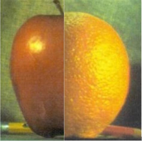 C-language Code Pic 的图像结果