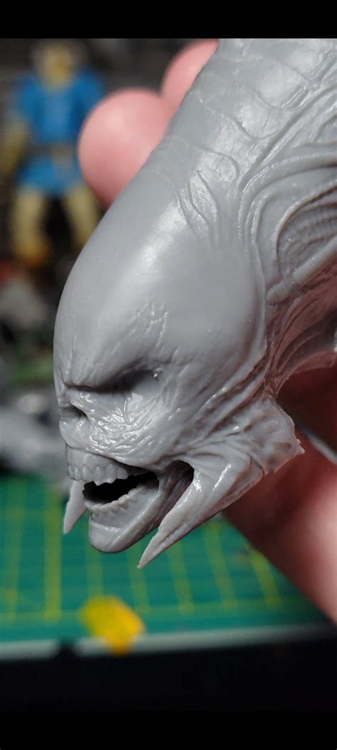 Image result for Alien Raven