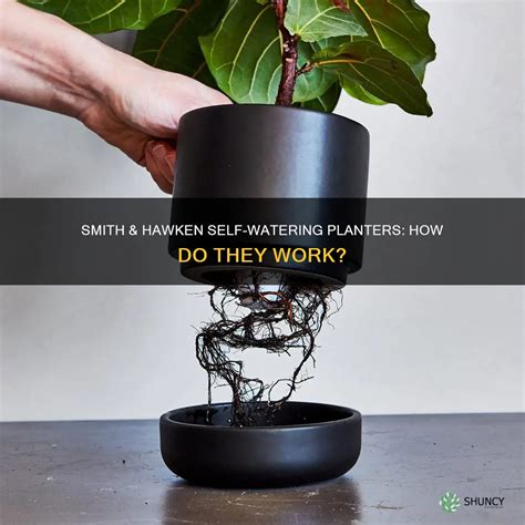 Smith & Hawken Self-Watering Planters: How Do They Work? | ShunCy