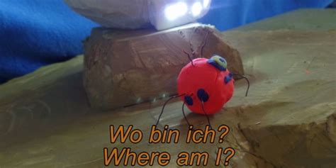 Der Gobi kommt – Out of the Box