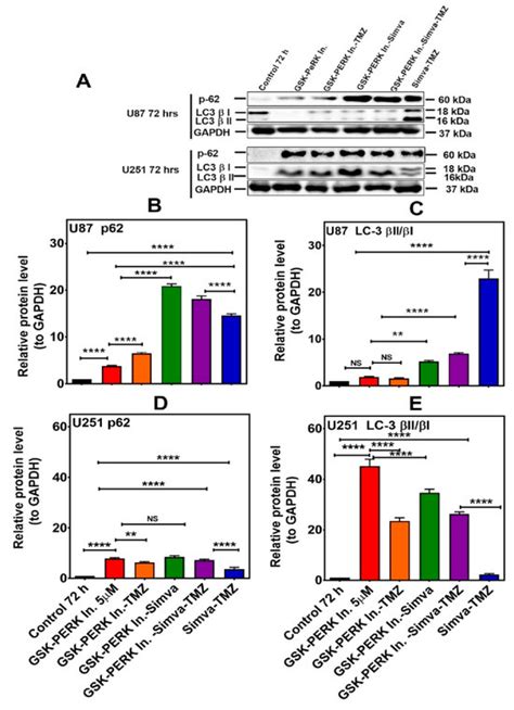 Cells | April-2 2024 - Browse Articles