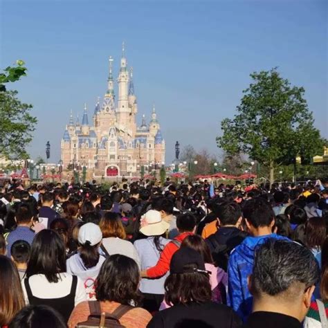 VIP团花2.4万就能免排队？上海迪士尼的回应还挺“理直气壮”|上海迪士尼|迪士尼|排队_新浪新闻