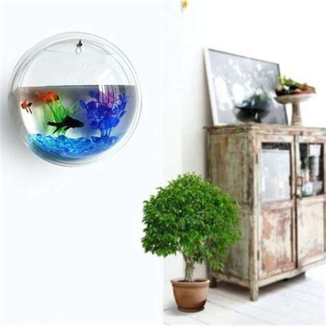Petzlifeworld 15 Inch Acrylic Wall Hanging Bowl for Fish and Plants ...