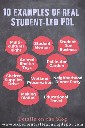 Project-Based Learning Sample 的图像结果