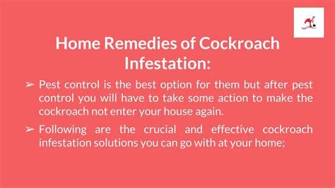 Cockroach Infestation Solutions 的图像结果