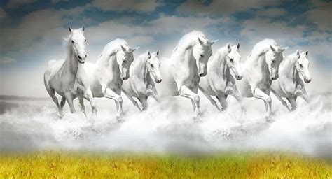3d Wallpapers Of Horse