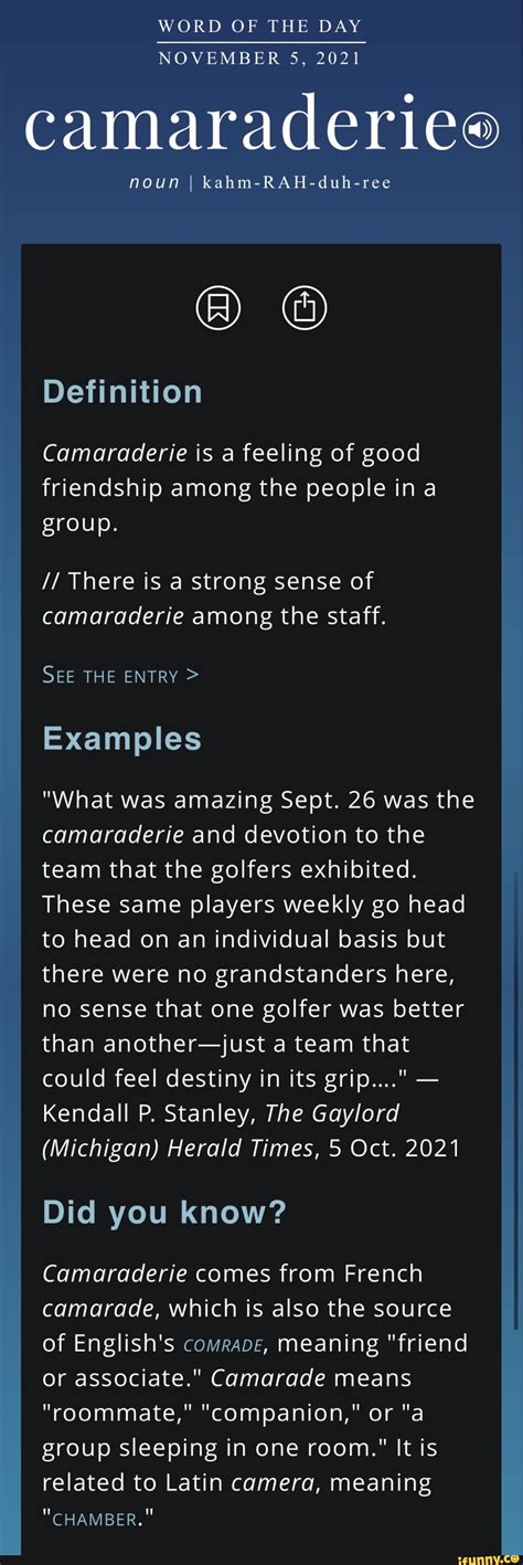 Camaraderie Definition