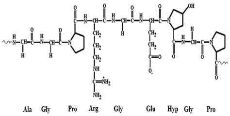 Agricultural Waste-Derived Biopolymers for Sustainable Food Packaging ...
