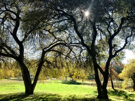 Elevation of Restive Way, Grass Valley, CA, USA - Topographic Map ...