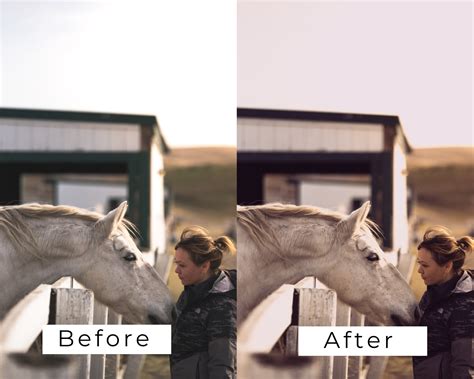 40 Lightroom Presets Horse Riding Horses Equestrian Desktop - Etsy
