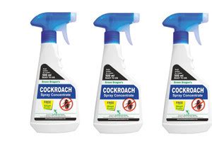 Green Dragon Cockroach Spray Concentrate 500 ml (Pack of 3) - Buy Baby ...