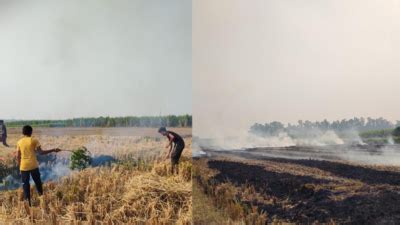 Paddy stubble burning: 35 Ambala farmers face red entry in farm record ...