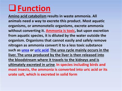 Urea Cycle or Ornithine Cycle- Function,Reactions,Regulation,GENERAL ABBREVIATIONS,Urea cycle ...